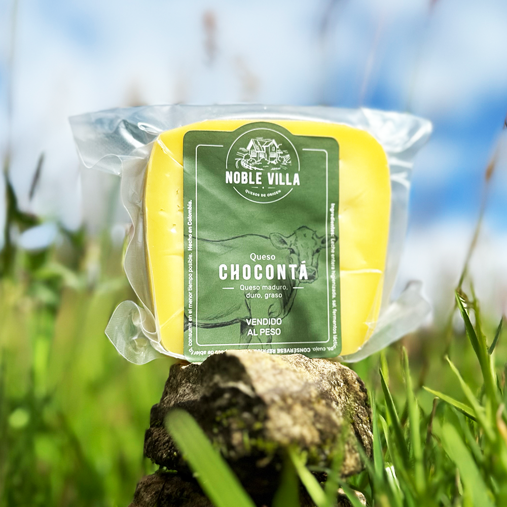 Queso Chocontá