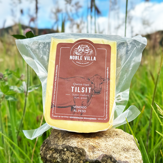 Queso Tilsit