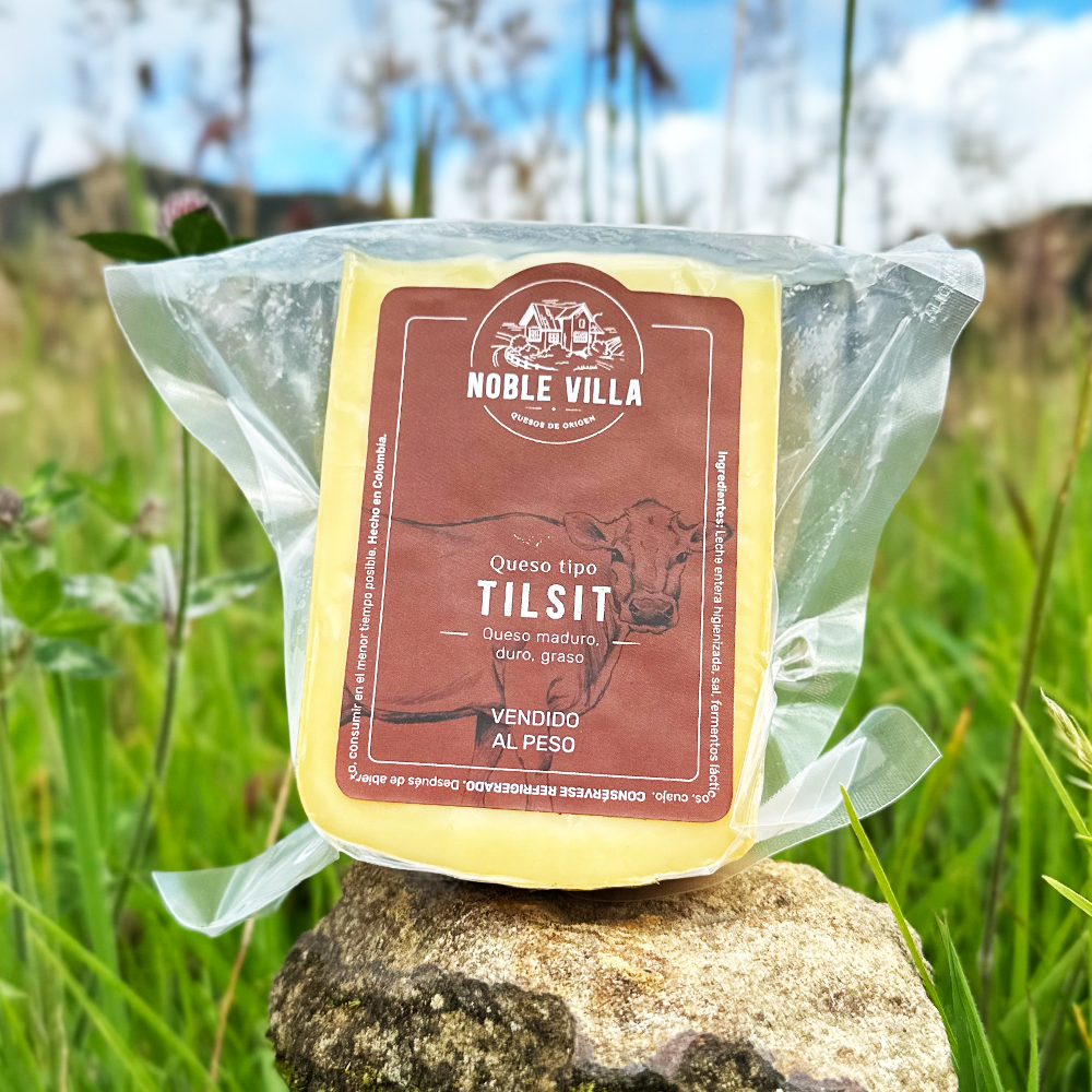 Queso Tilsit
